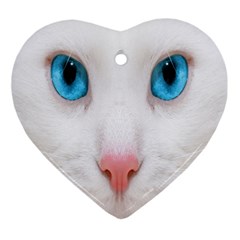 Beautiful White Face Cat Animals Blue Eye Ornament (heart)