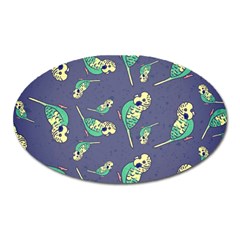 Canaries Budgie Pattern Bird Animals Cute Oval Magnet