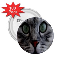 Cat Face Eyes Gray Fluffy Cute Animals 2 25  Buttons (100 Pack)  by Mariart