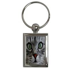 Cat Face Eyes Gray Fluffy Cute Animals Key Chains (rectangle)  by Mariart