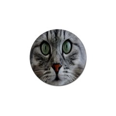 Cat Face Eyes Gray Fluffy Cute Animals Golf Ball Marker (4 Pack) by Mariart