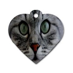 Cat Face Eyes Gray Fluffy Cute Animals Dog Tag Heart (two Sides) by Mariart