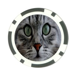 Cat Face Eyes Gray Fluffy Cute Animals Poker Chip Card Guard (10 Pack)