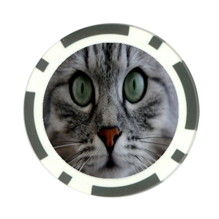 Cat Face Eyes Gray Fluffy Cute Animals Poker Chip Card Guard (10 pack)