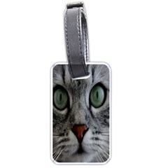 Cat Face Eyes Gray Fluffy Cute Animals Luggage Tags (one Side) 