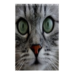 Cat Face Eyes Gray Fluffy Cute Animals Shower Curtain 48  X 72  (small) 