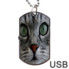 Cat Face Eyes Gray Fluffy Cute Animals Dog Tag Usb Flash (two Sides) by Mariart