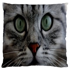 Cat Face Eyes Gray Fluffy Cute Animals Large Cushion Case (one Side)