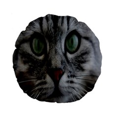 Cat Face Eyes Gray Fluffy Cute Animals Standard 15  Premium Flano Round Cushions by Mariart