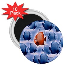 Swim Fish 2 25  Magnets (10 Pack) 