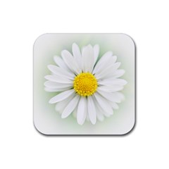 Art Daisy Flower Art Flower Deco Rubber Square Coaster (4 Pack)  by Nexatart