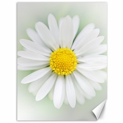 Art Daisy Flower Art Flower Deco Canvas 36  X 48  