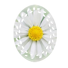 Art Daisy Flower Art Flower Deco Oval Filigree Ornament (two Sides) by Nexatart