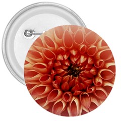 Dahlia Flower Joy Nature Luck 3  Buttons