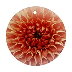 Dahlia Flower Joy Nature Luck Ornament (round) by Nexatart