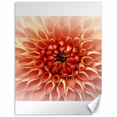 Dahlia Flower Joy Nature Luck Canvas 18  X 24   by Nexatart