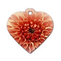 Dahlia Flower Joy Nature Luck Dog Tag Heart (two Sides) by Nexatart