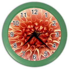 Dahlia Flower Joy Nature Luck Color Wall Clocks by Nexatart