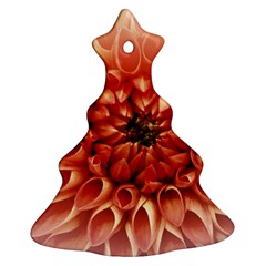 Dahlia Flower Joy Nature Luck Ornament (christmas Tree)  by Nexatart
