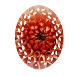 Dahlia Flower Joy Nature Luck Oval Filigree Ornament (Two Sides) Back