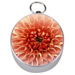 Dahlia Flower Joy Nature Luck Silver Compasses by Nexatart