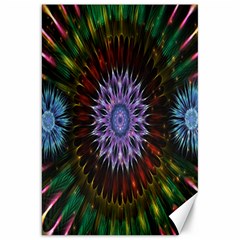 Flower Stigma Colorful Rainbow Animation Gold Space Canvas 20  X 30  