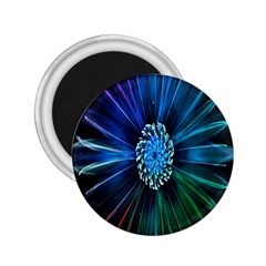 Flower Stigma Colorful Rainbow Animation Space 2.25  Magnets
