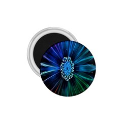 Flower Stigma Colorful Rainbow Animation Space 1.75  Magnets