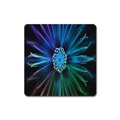 Flower Stigma Colorful Rainbow Animation Space Square Magnet