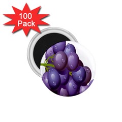 Grape Fruit 1 75  Magnets (100 Pack) 