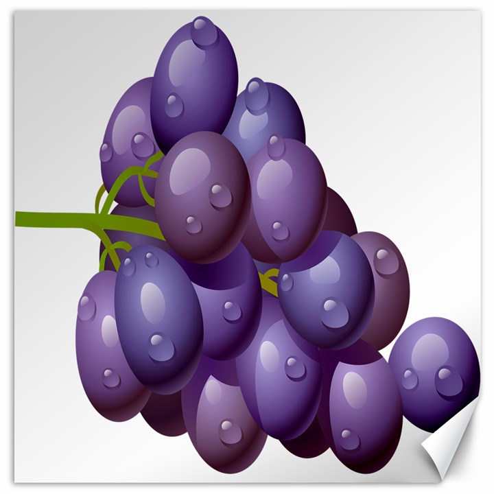 Grape Fruit Canvas 20  x 20  