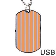 Rayures Bleu Orange Dog Tag USB Flash (Two Sides)