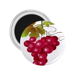 Red Fruit Grape 2 25  Magnets