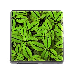 Nature Print Pattern Memory Card Reader (square) by dflcprints