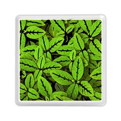 Nature Print Pattern Memory Card Reader (square)  by dflcprints