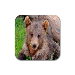Baby Bear Animals Rubber Coaster (square) 
