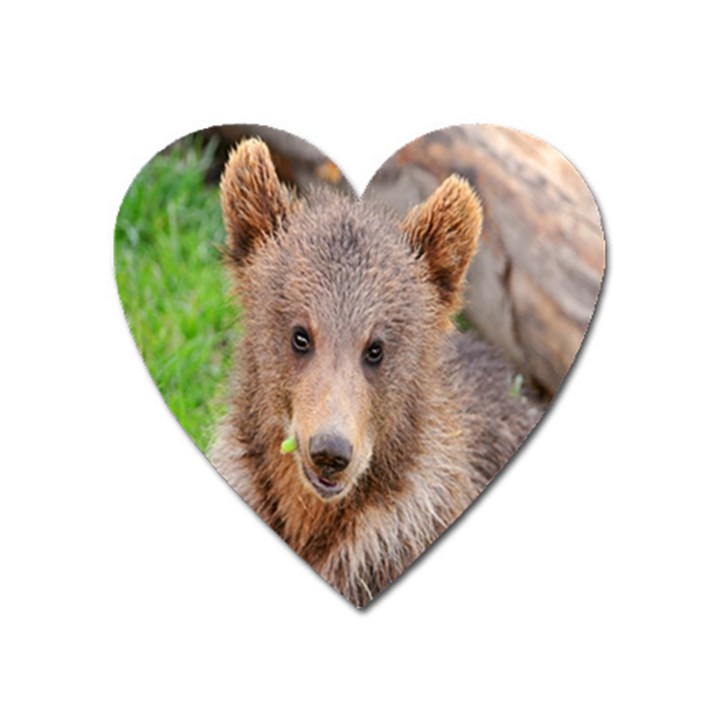 Baby Bear Animals Heart Magnet