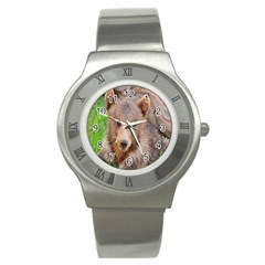 Baby Bear Animals Stainless Steel Watch