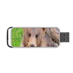 Baby Bear Animals Portable Usb Flash (two Sides)