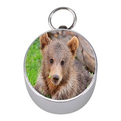 Baby Bear Animals Mini Silver Compasses by Mariart