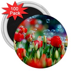 Colorful Flowers 3  Magnets (100 Pack)