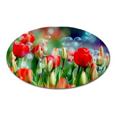 Colorful Flowers Oval Magnet by Mariart