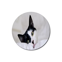 Cat Face Cute Black White Animals Rubber Round Coaster (4 Pack) 