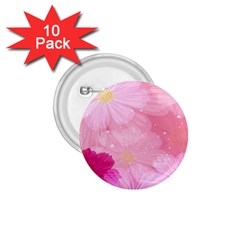 Cosmos Flower Floral Sunflower Star Pink Frame 1 75  Buttons (10 Pack)