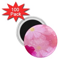 Cosmos Flower Floral Sunflower Star Pink Frame 1 75  Magnets (100 Pack) 