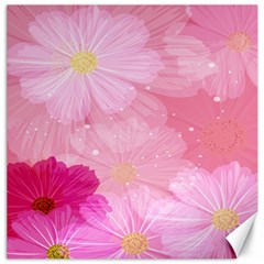 Cosmos Flower Floral Sunflower Star Pink Frame Canvas 20  X 20  