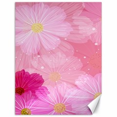 Cosmos Flower Floral Sunflower Star Pink Frame Canvas 18  X 24   by Mariart