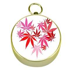 Marijuana Cannabis Rainbow Pink Love Heart Gold Compasses