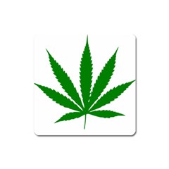 Marijuana Weed Drugs Neon Cannabis Green Leaf Sign Square Magnet