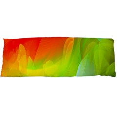 Red Yellow Green Blue Rainbow Color Mix Body Pillow Case Dakimakura (two Sides) by Mariart